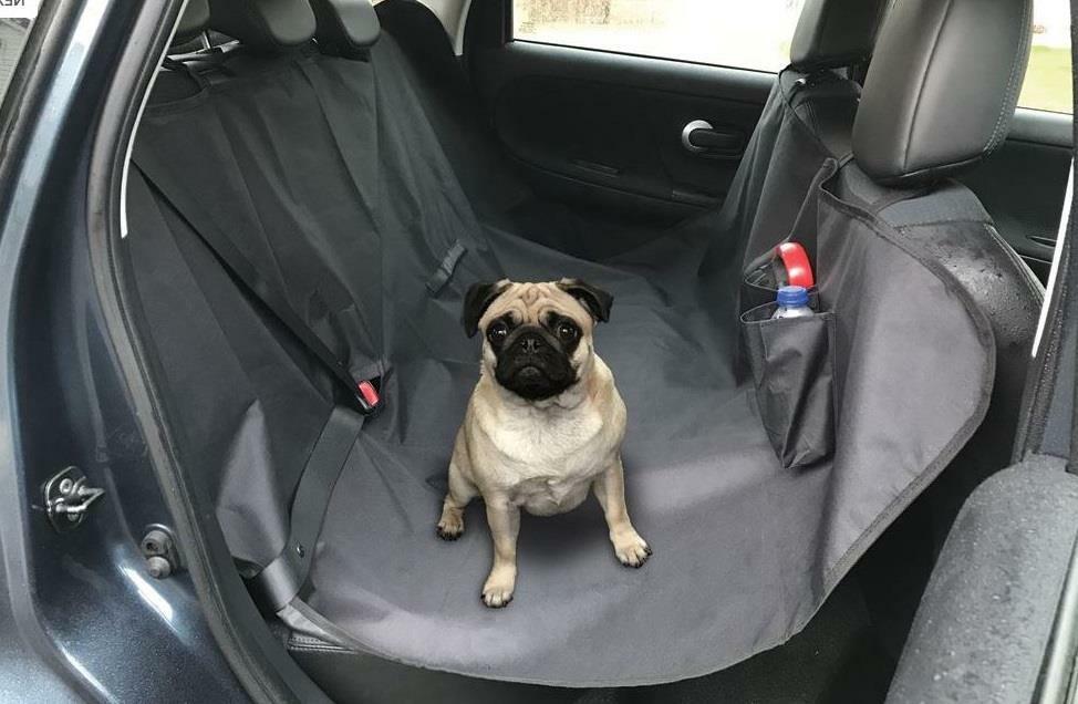 Ford Puma Rear Hammock - Paw & Co