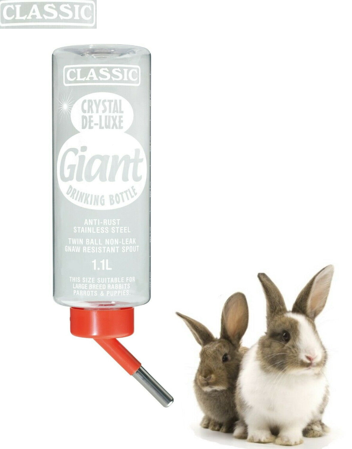 Giant Drinker - Paw & Co