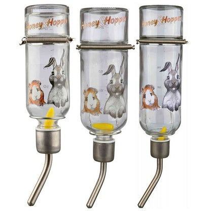 Glass Drinker - Paw & Co