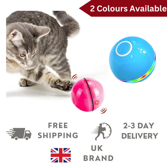 LED Cat Toy Ball - Paw & Co