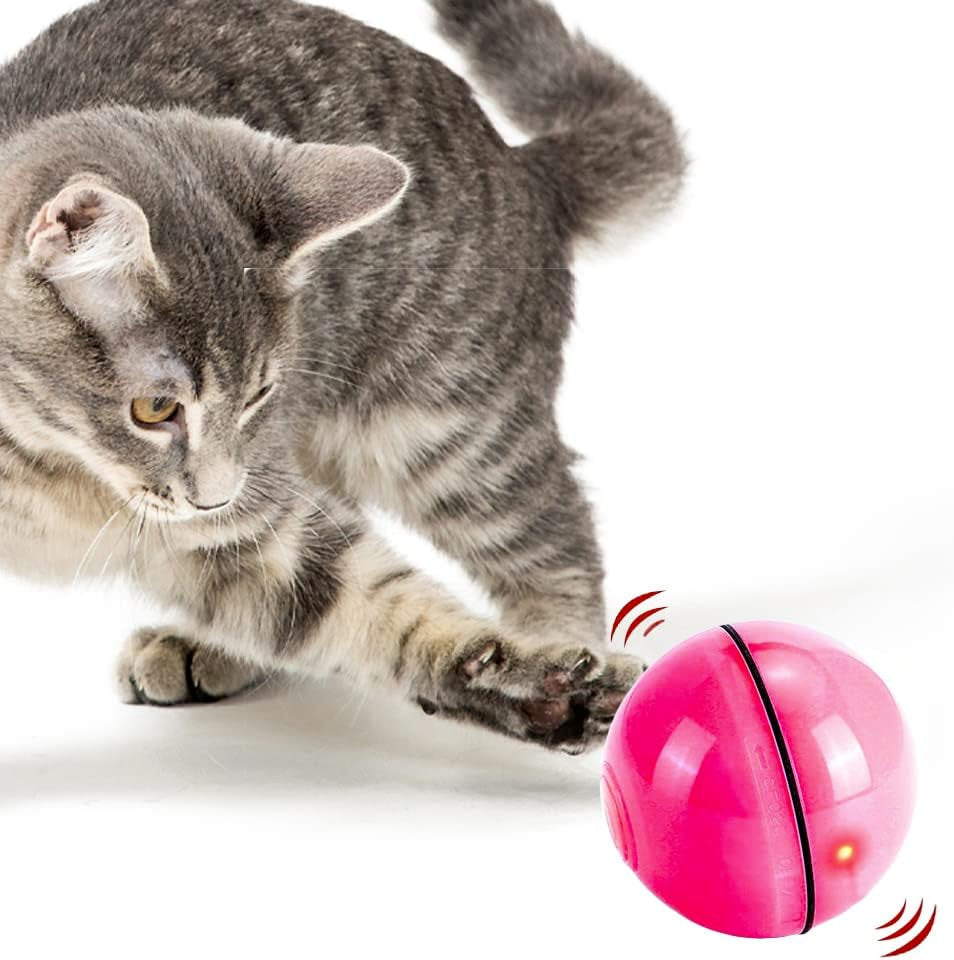 LED Cat Toy Ball - Paw & Co