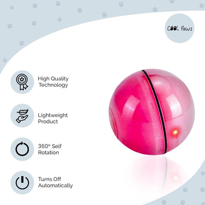 LED Cat Toy Ball - Paw & Co