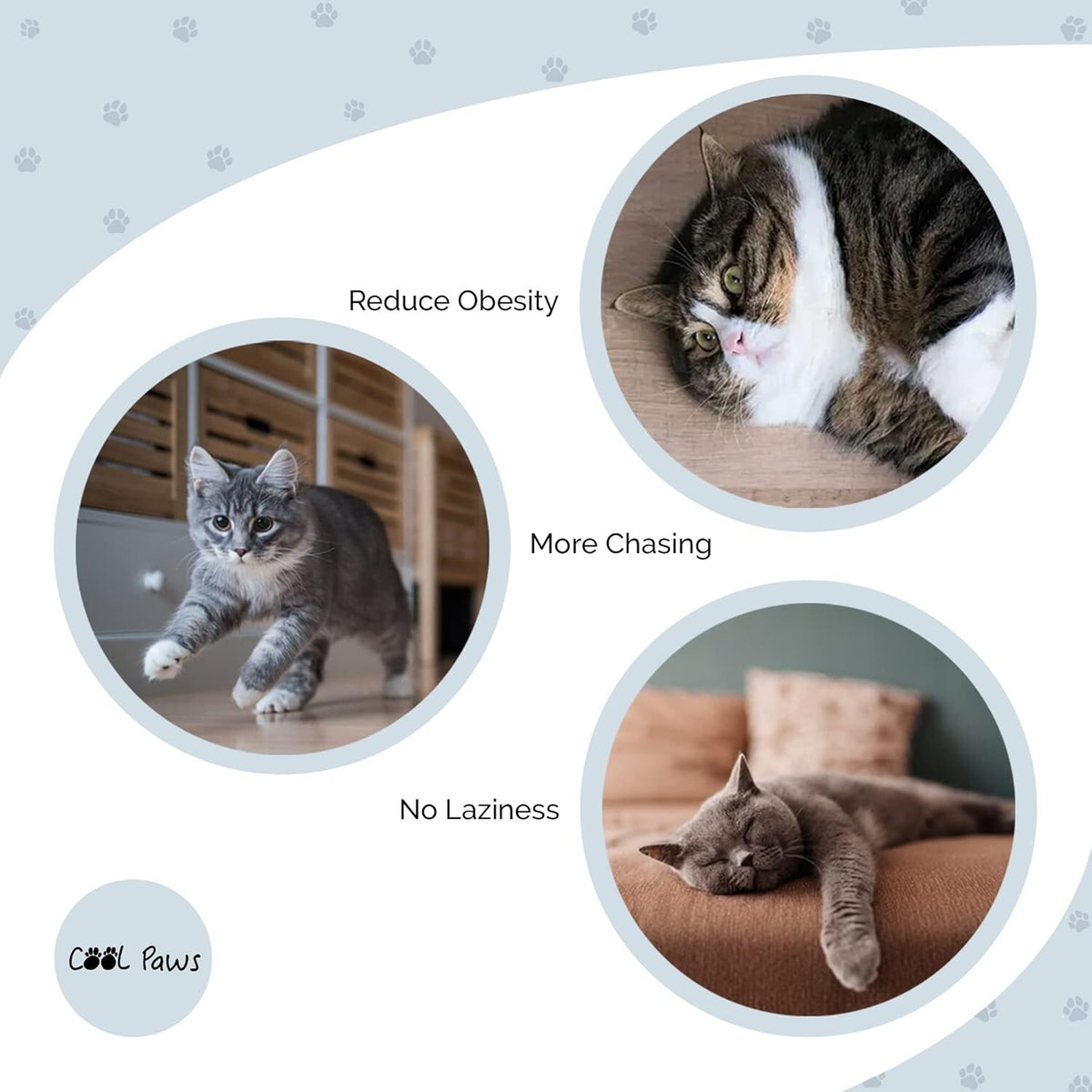 LED Cat Toy Ball - Paw & Co