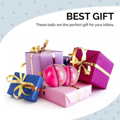 LED Cat Toy Ball - Paw & Co