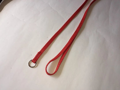 Nylon Slip Lead - Paw & Co
