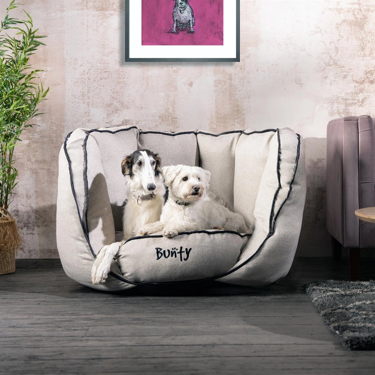 Oyster Sofa Bed - Paw & Co