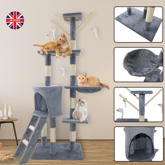 Scratch Tower - Paw & Co