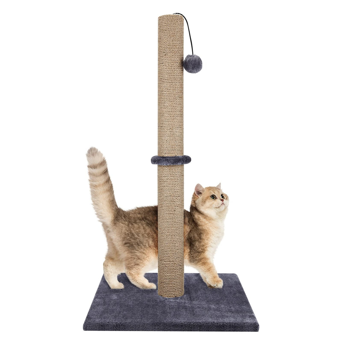 Sisal Scratch Post - Paw & Co