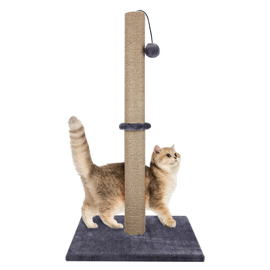 Sisal Scratch Post - Paw & Co