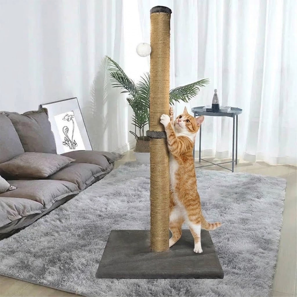 Sisal Scratch Post - Paw & Co
