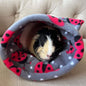 Snuggle Pouch - Paw & Co