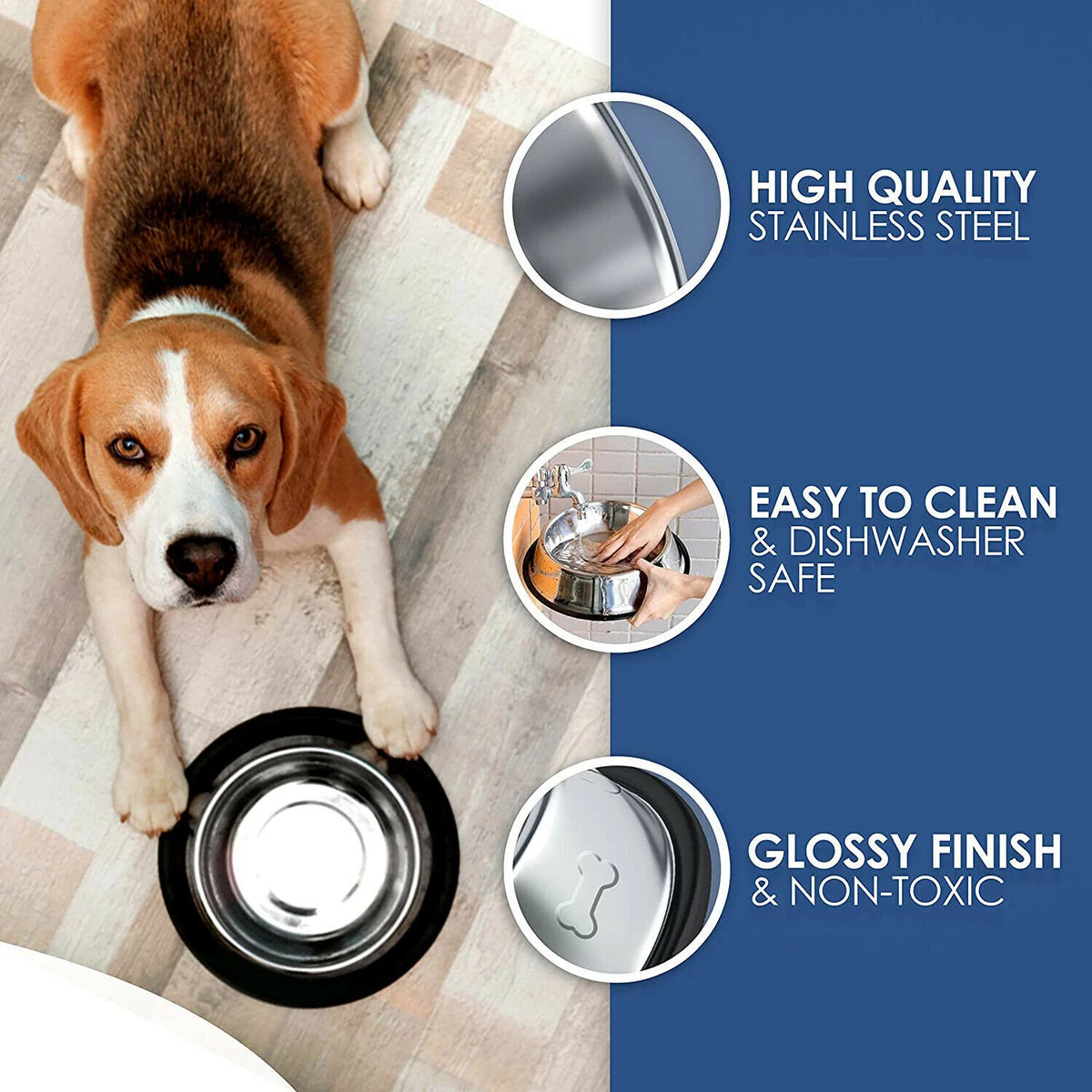 Stainless Bowls (Pair) - Paw & Co