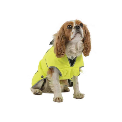 Waterproof Dog Coat - Paw & Co