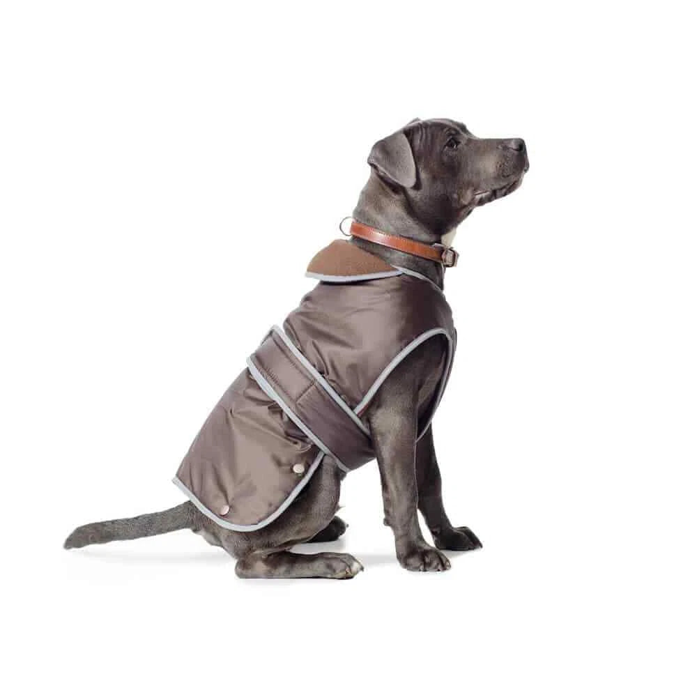 Waterproof Dog Coat - Paw & Co