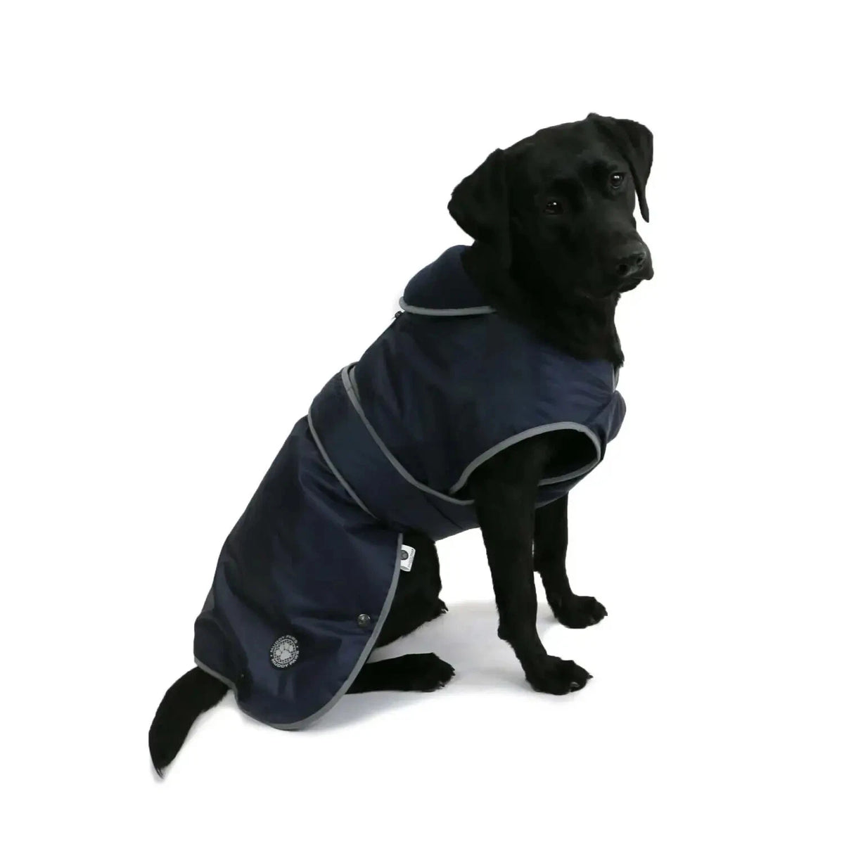 Waterproof Dog Coat - Paw & Co