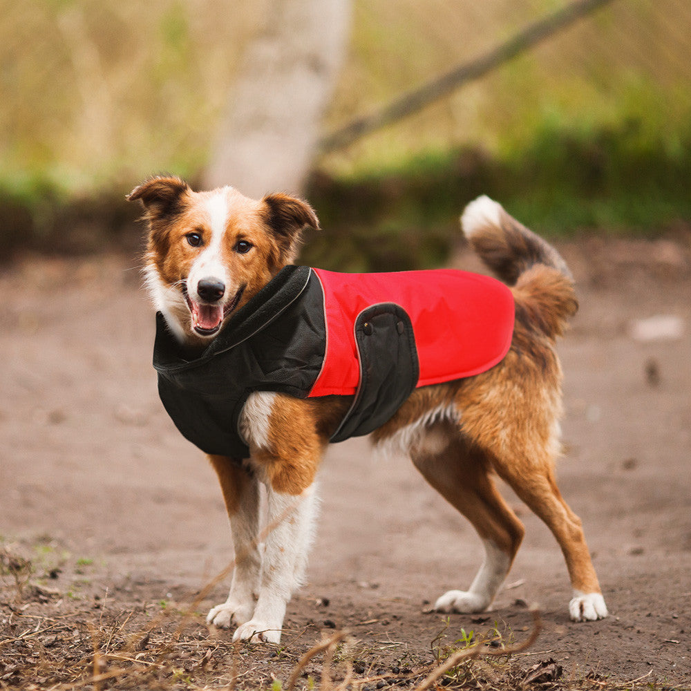 Waterproof Jacket - Paw & Co