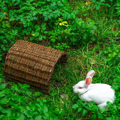 Wicker Shelter - Paw & Co