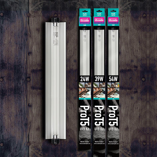 Paw & Co Pro T5 UVB reptile lighting kit packs
