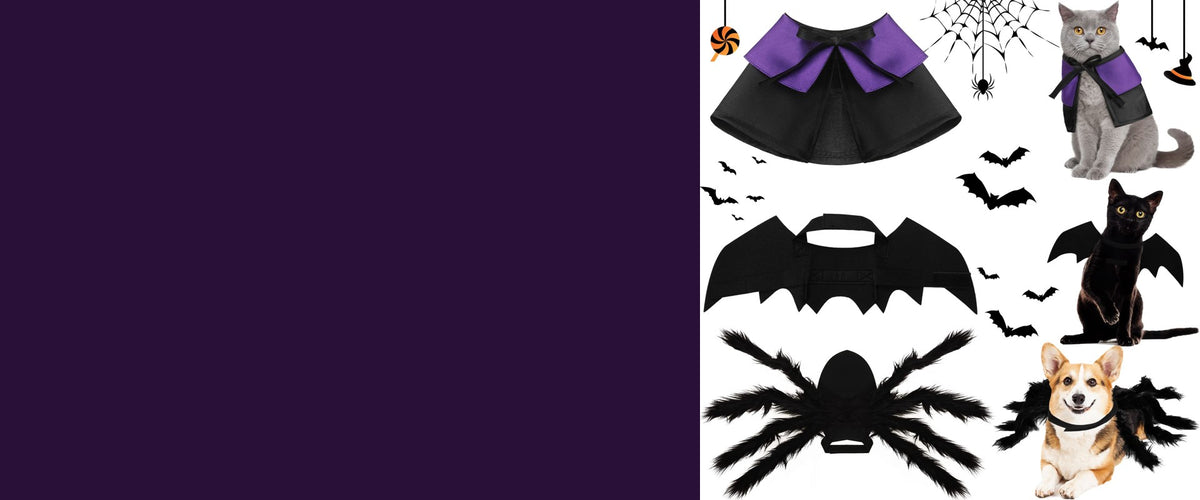 Pets in Halloween costumes